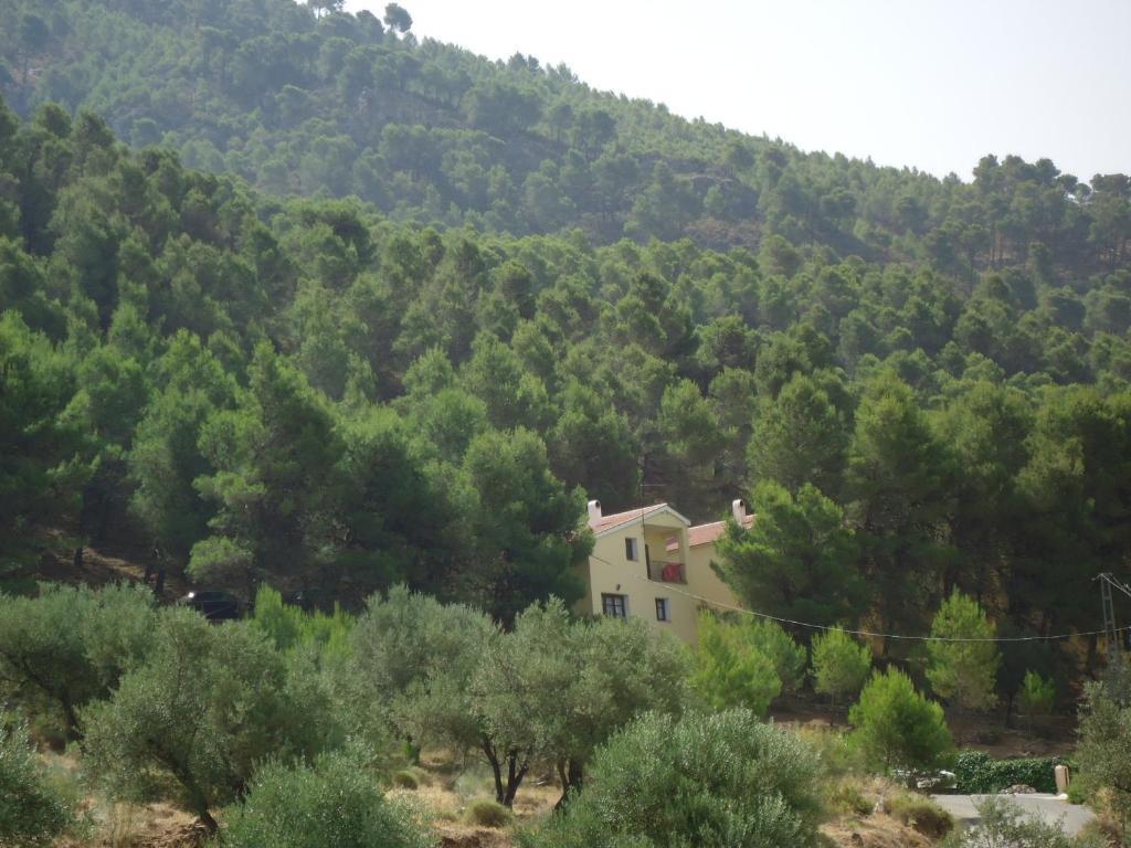 Apartament Cortijo Del Alcazar Alcaucín Zewnętrze zdjęcie