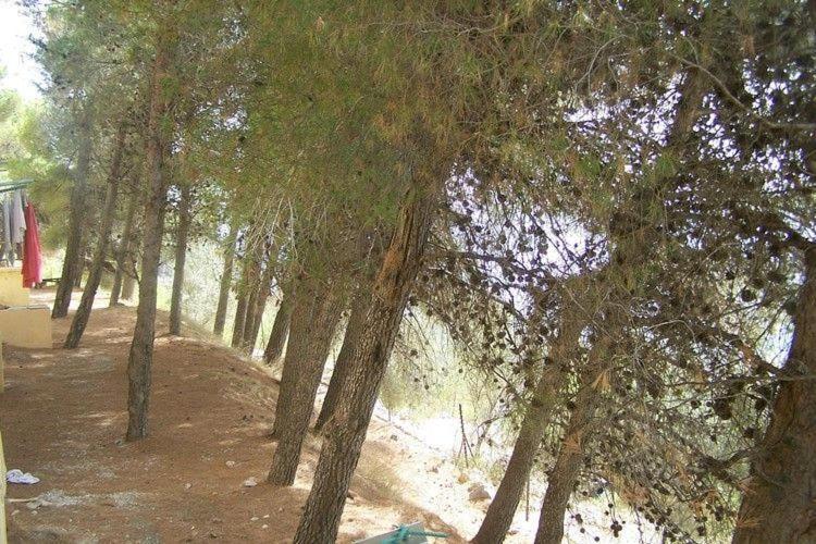 Apartament Cortijo Del Alcazar Alcaucín Pokój zdjęcie