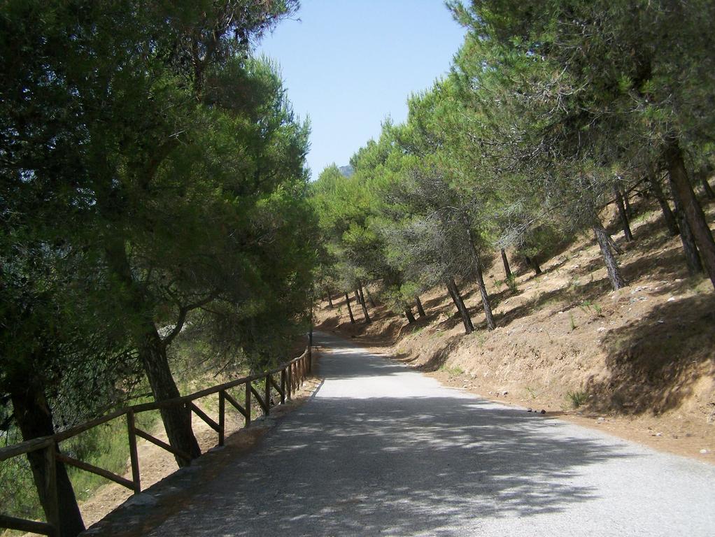Apartament Cortijo Del Alcazar Alcaucín Zewnętrze zdjęcie